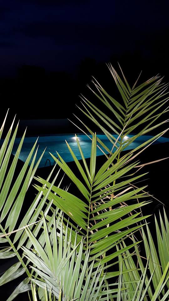 pool vila bellissima